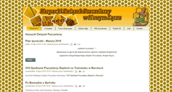 Desktop Screenshot of kzp.nsacz.pl